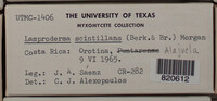 Image Associated With the Occurence